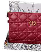 Dior Clutche