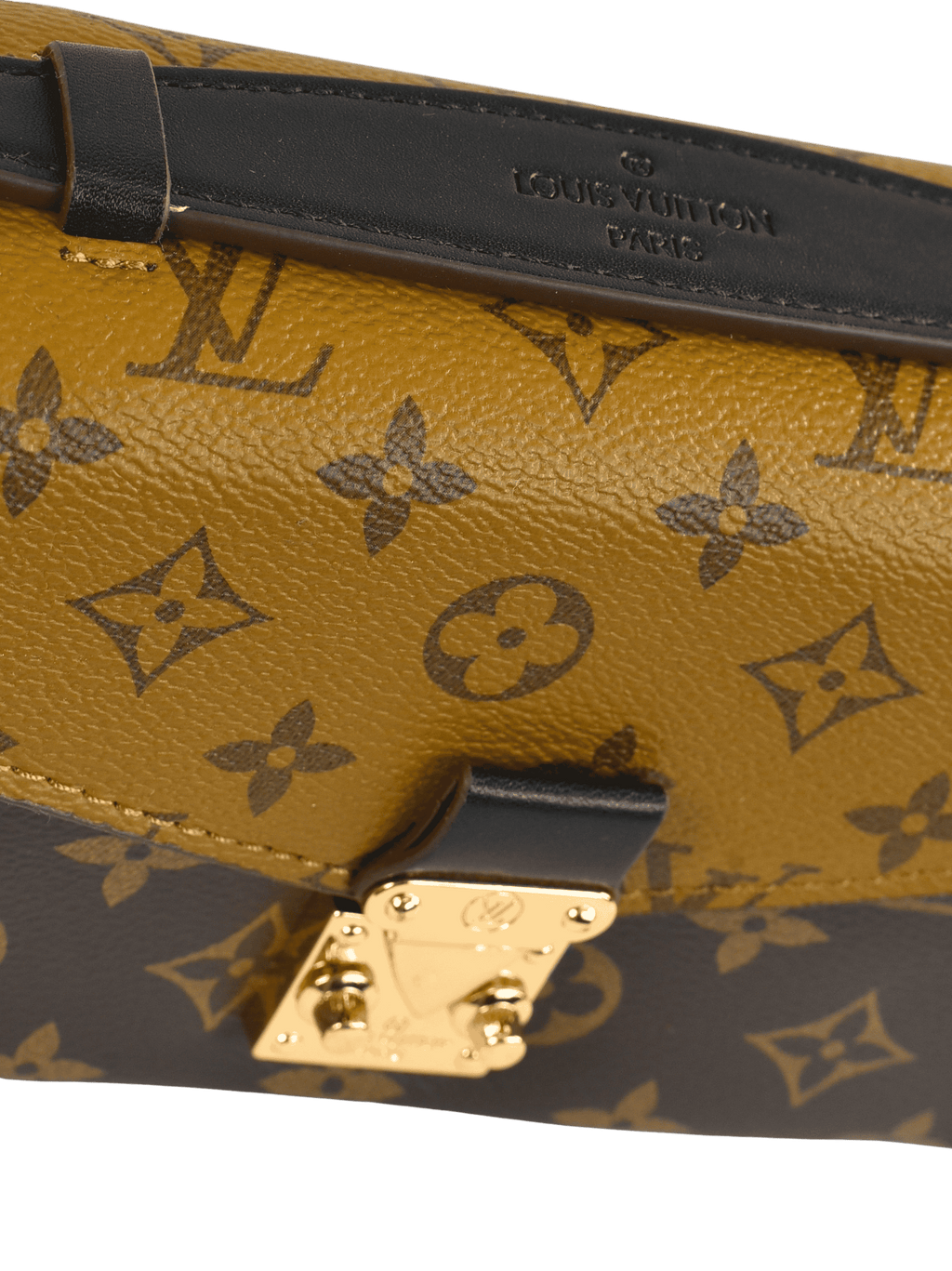 Louis Vuitton Mini Flap