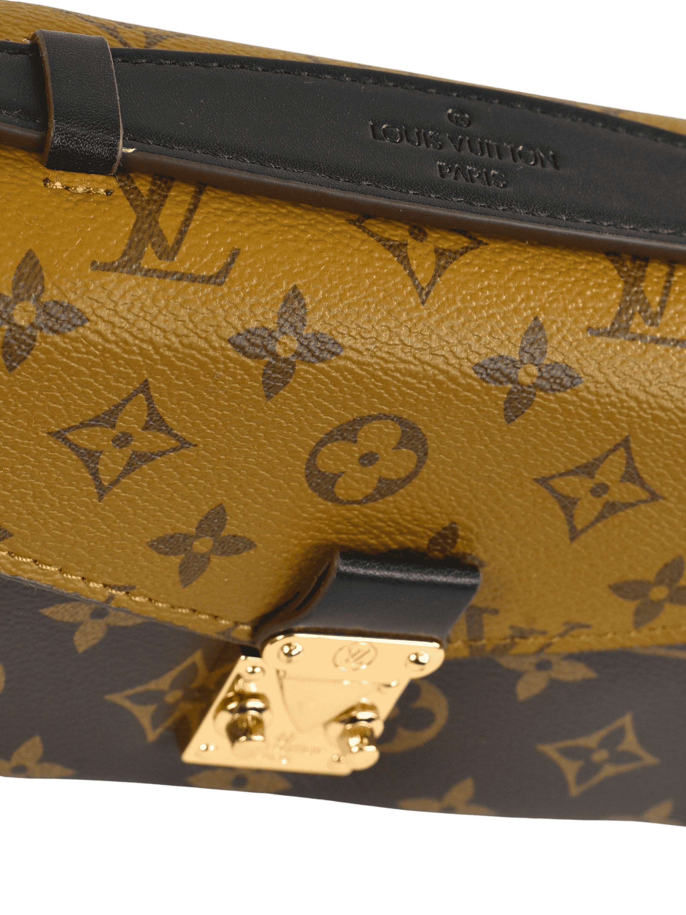 Louis Vuitton Mini Flap