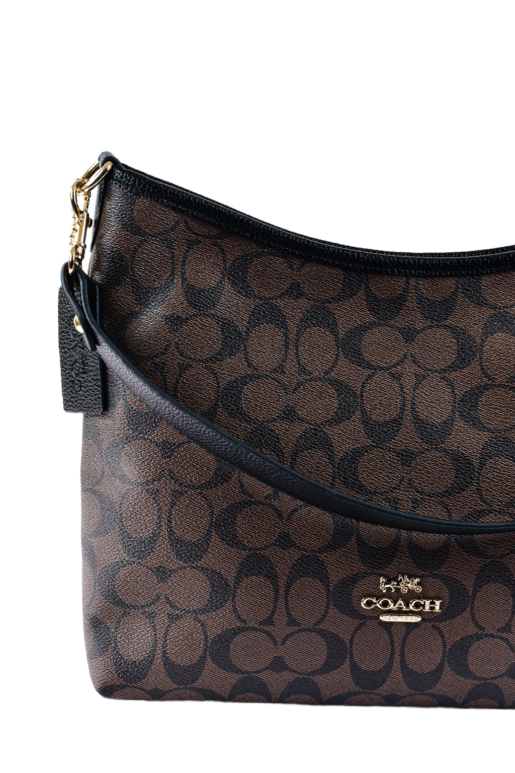 Coach Laurel - Tresolo-amr