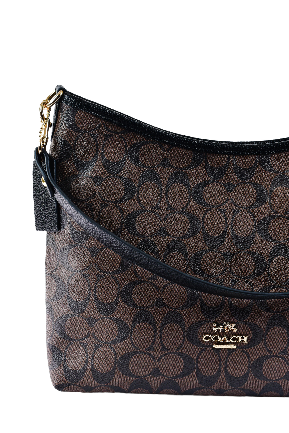 Coach Laurel - Tresolo-amr