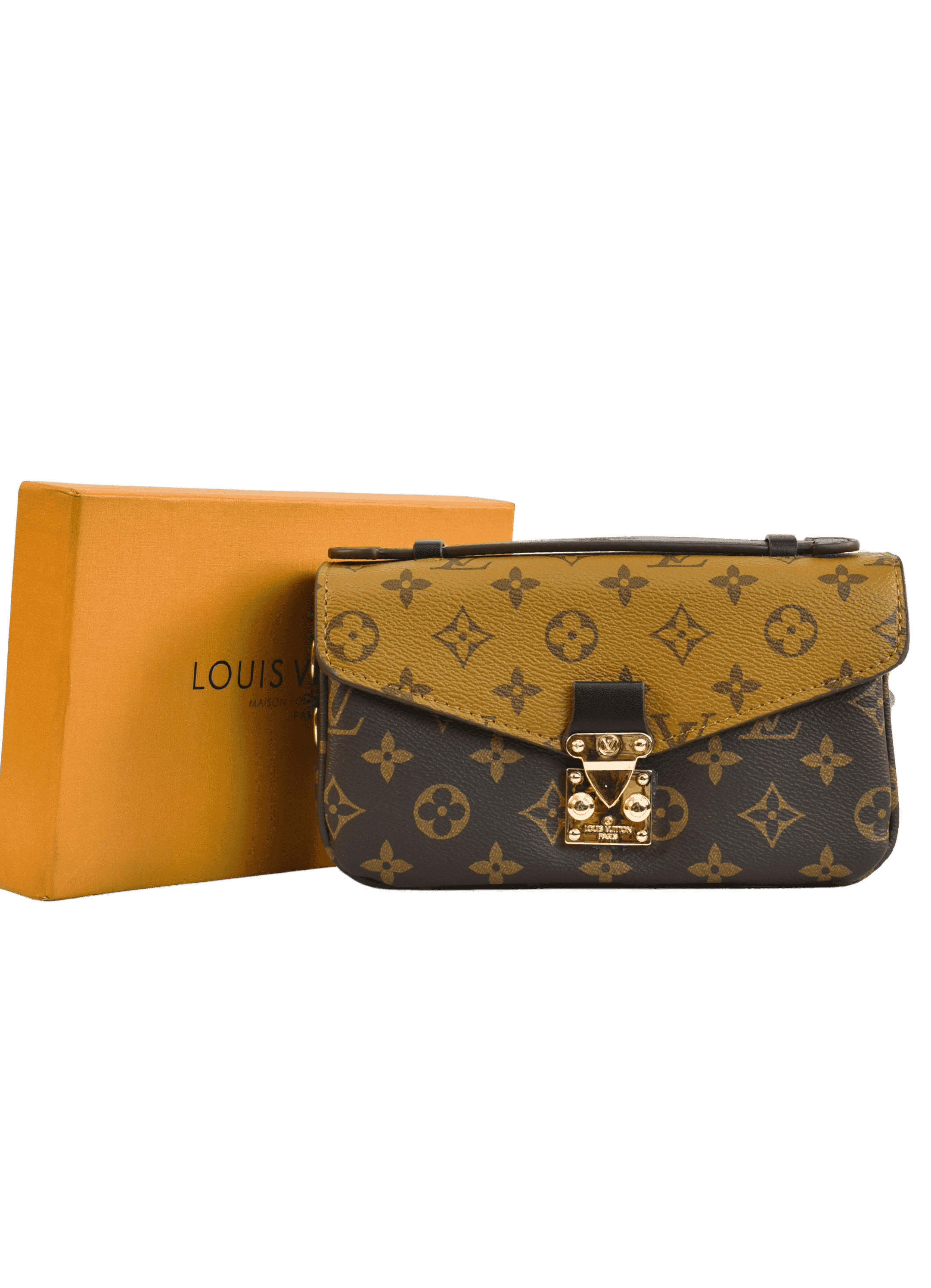 Louis Vuitton Mini Flap