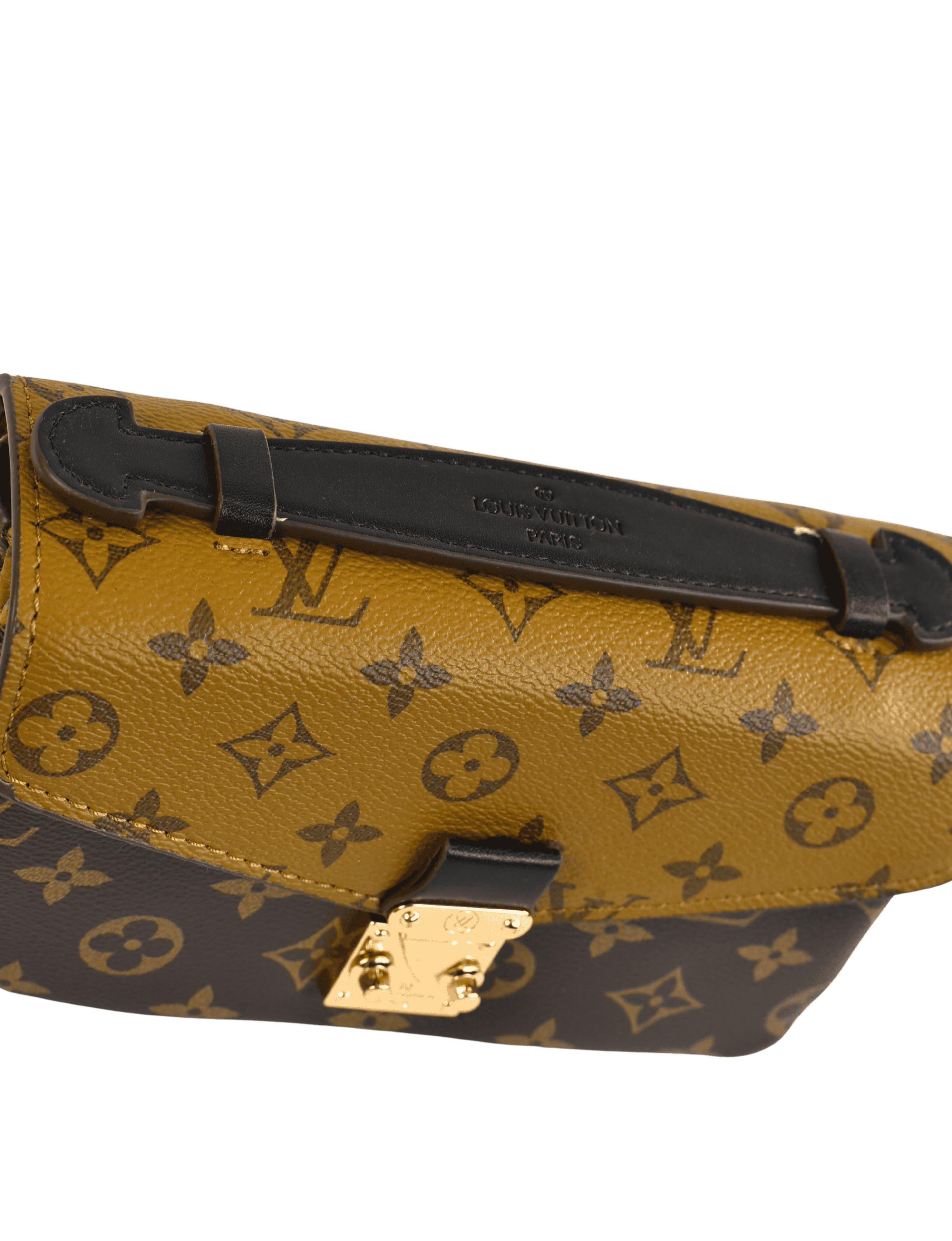 Louis Vuitton Mini Flap