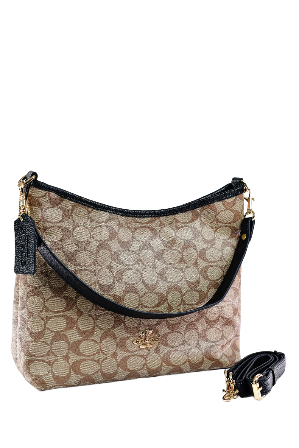 Coach Laurel - Tresolo-amr