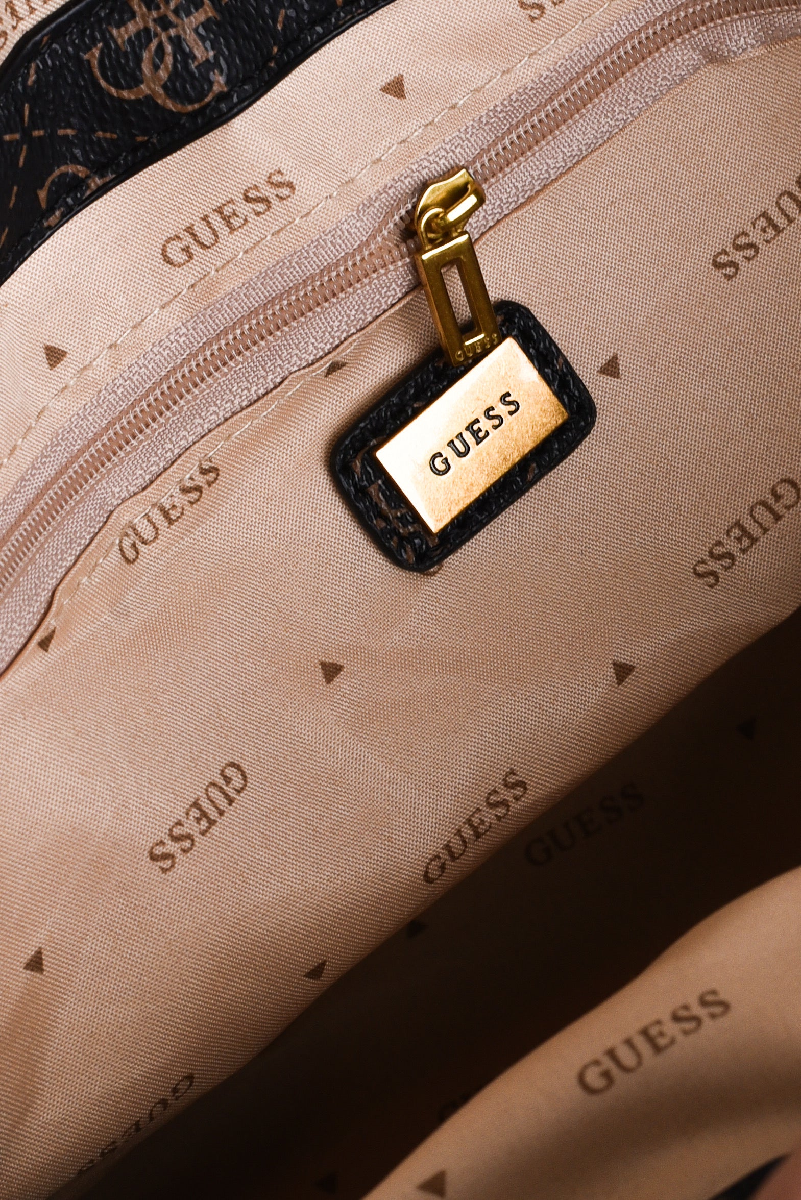 Guess Sestri
