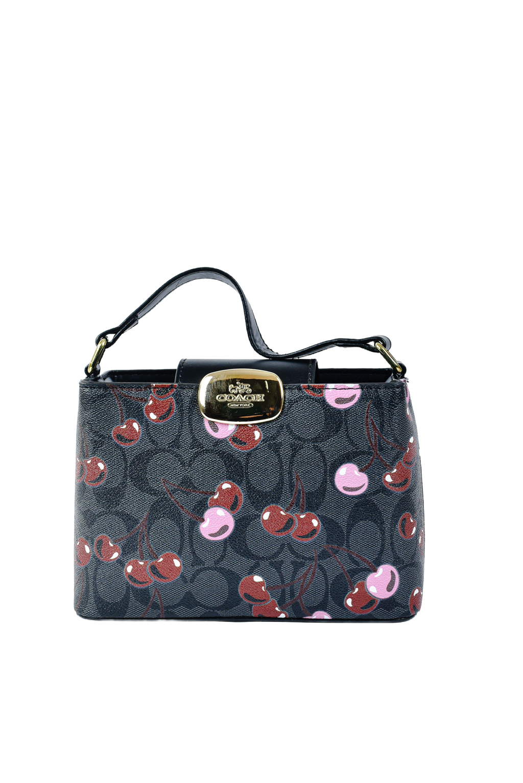 Coach Cherry Bag - Tresolo-amr