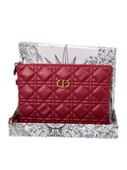 Dior Clutche